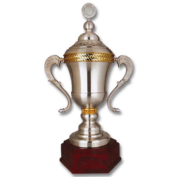 Trophy Award ZT6228 Zinc Alloy Trophy Silver Wood Corporate Gift